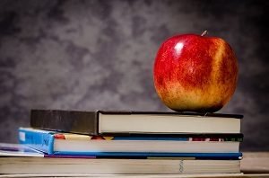 Literature Review Example Topics